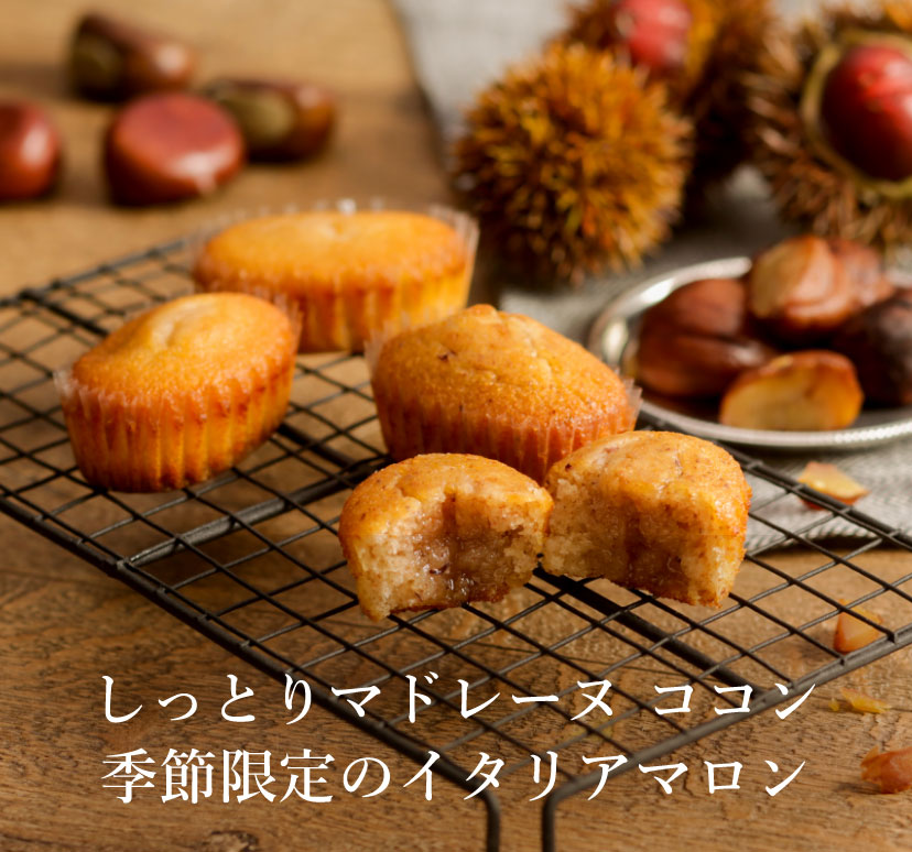しっとりマドレーヌココン 季節限定のイタリアマロン