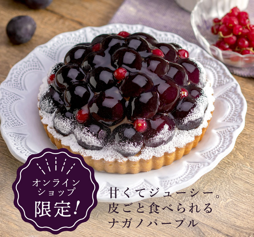 【オンラインショップ限定！】甘くてジューシー。皮ごと食べられるナガノパープル