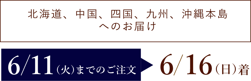 【北海道、中国、四国、九州、沖縄本島へのお届け】6/13(火)までのご注文→6/18(日)着