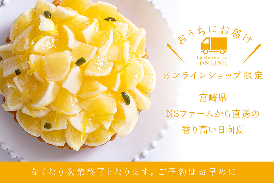 オンラインショップ限定　宮崎県産日向夏とギリシャヨーグルトクリームのタルト