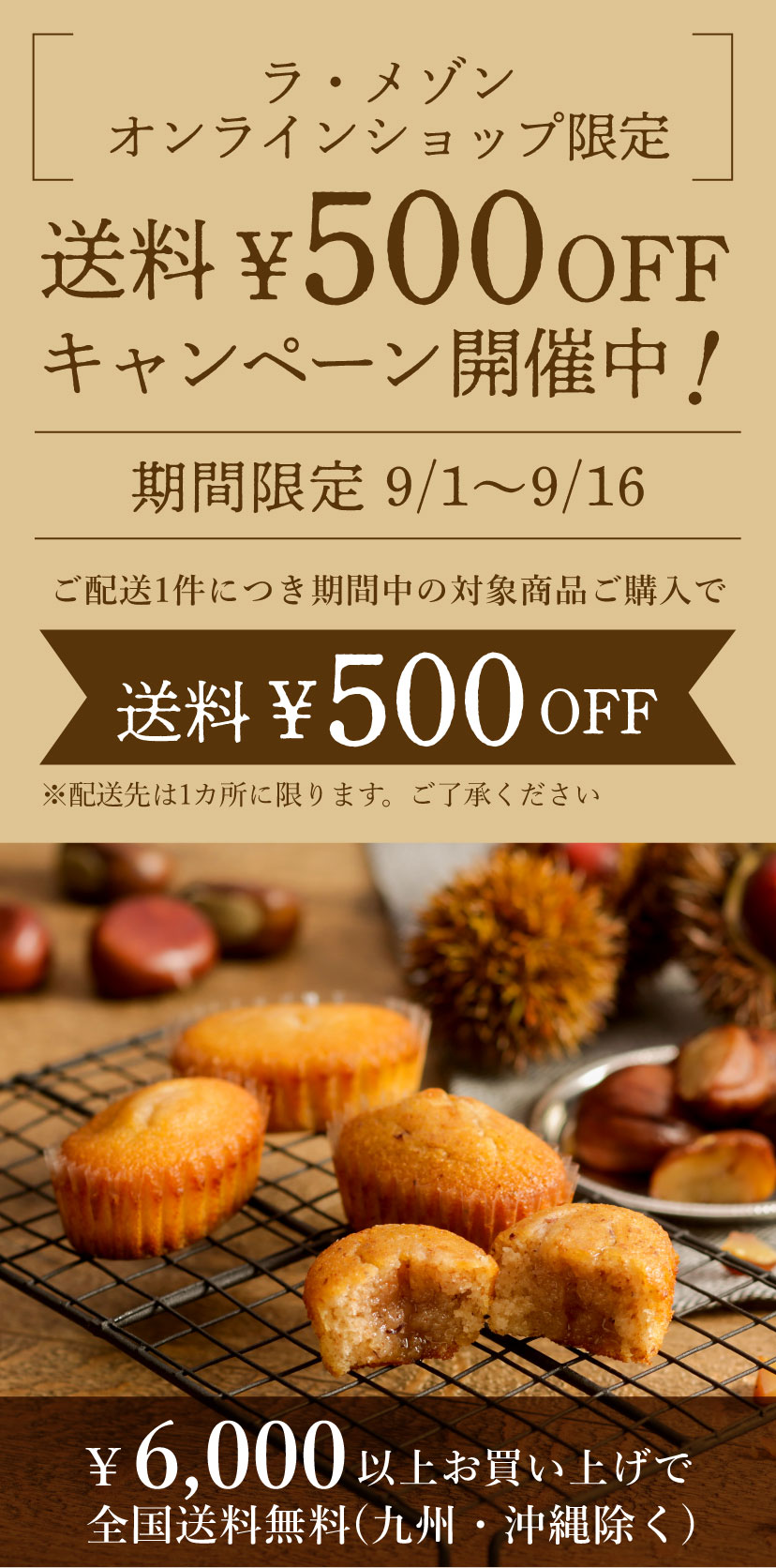 送料500円OFFキャンペーン開催中!