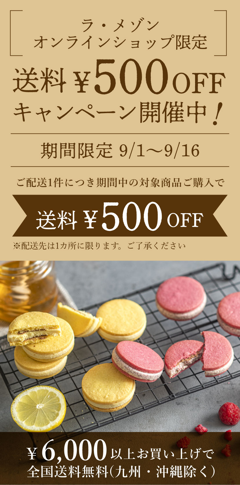 送料500円OFFキャンペーン開催中!
