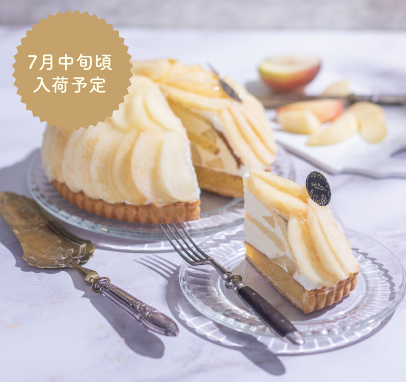 7月中旬頃入荷予定