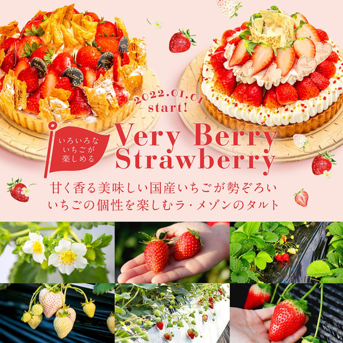 【みなみ風】☆♪☆♪苺タルト＆フルーツタルトパーツ♪☆♪☆ いちごの香りにつつまれる『Very Berry Strawberry』フェア開催中