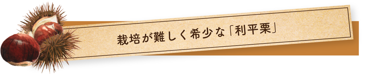 茨城県 田口農園 利平栗とは