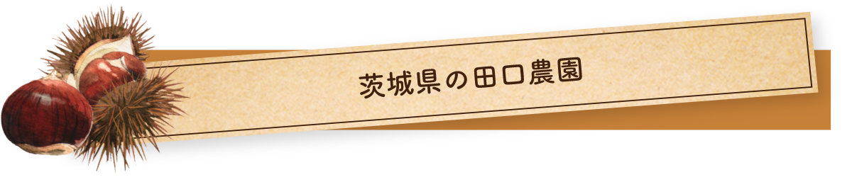 9月下旬、茨城県の田口農園にお邪魔しました！