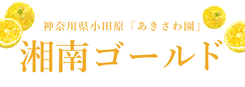 神奈川県小田原「あきさわ園」 湘南ゴールド