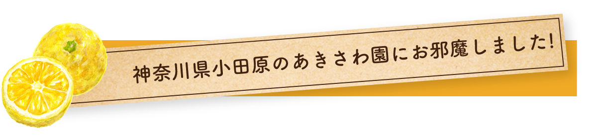 神奈川県小田原のあきさわ園にお邪魔しました!