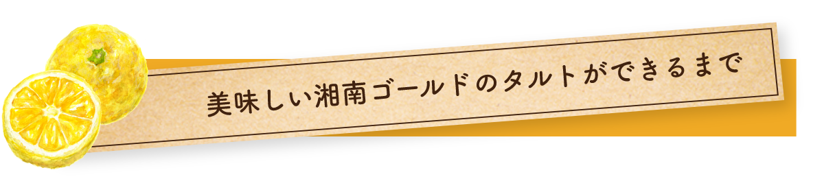 美味しい湘南ゴールドのタルトができるまで