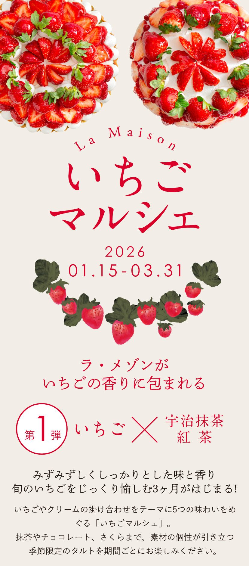 【「ラ・メゾンのいちごマルシェ」みずみずしくしっかりとした味と香り旬のいちごをじっくり愉しむ3ヶ月がはじまる!】いちごやクリームの掛け合わせをテーマに5つの味わいをめぐる「いちごマルシェ」。抹茶やチョコレート、さくらまで、素材の個性が引き立つ季節限定のタルトを期間ごとにお楽しみください。