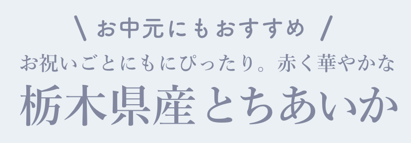 【お中元にもおすすめ】お祝いごとにもぴったり 赤く華やかな 栃木県産とちあいか