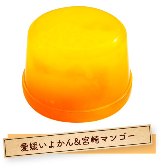 愛媛いよかん&宮崎マンゴー