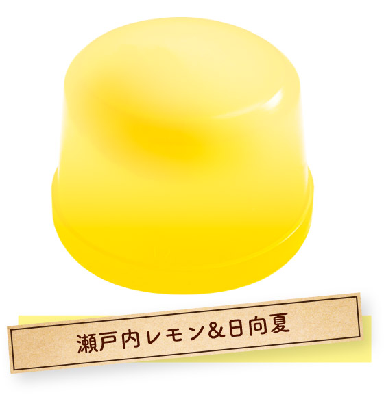 瀬戸内レモン&日向夏
