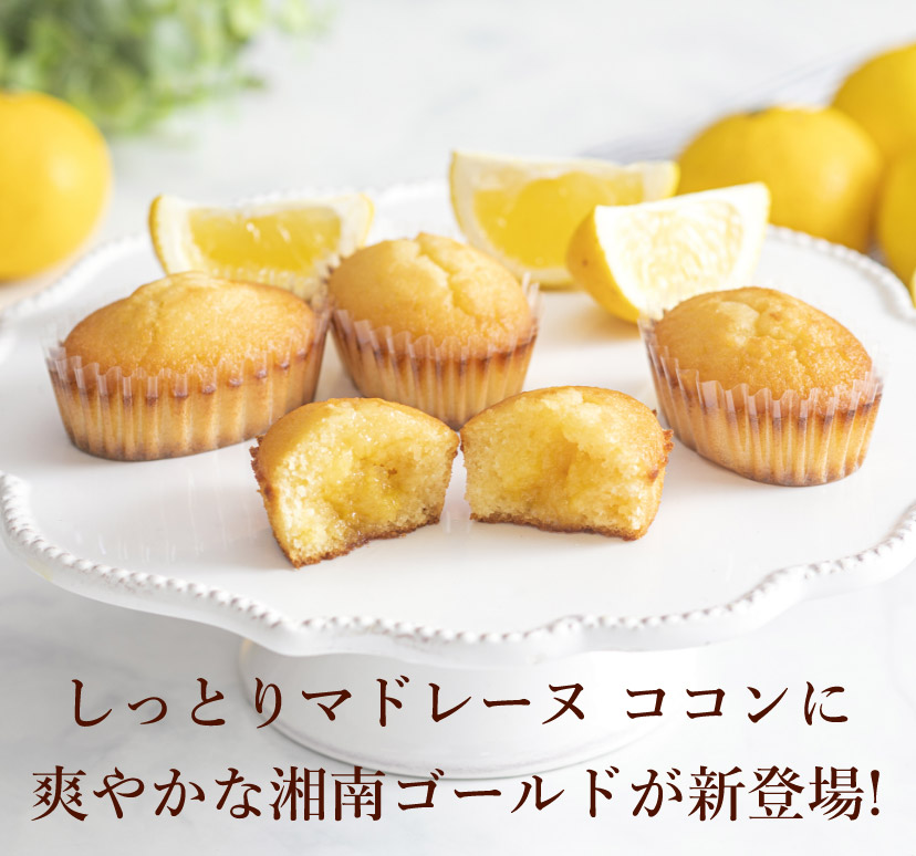 じゅわっとシロップが溢れ出すしっとりマドレーヌ
