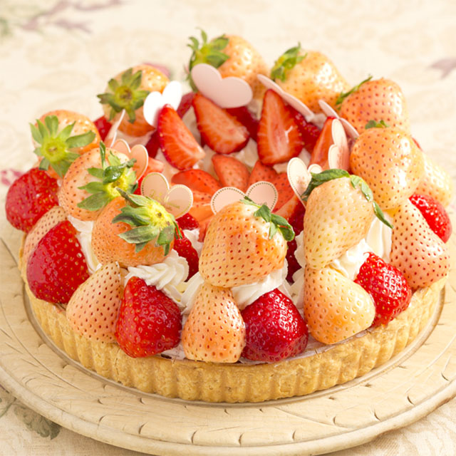 季節限定 白いちごとあまおうのタルト Tart La Maison Ensoleille Table